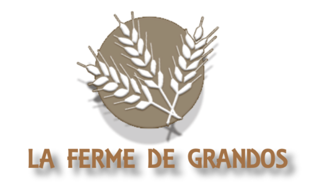 Capture decran 2024 06 20 a 11.32.51